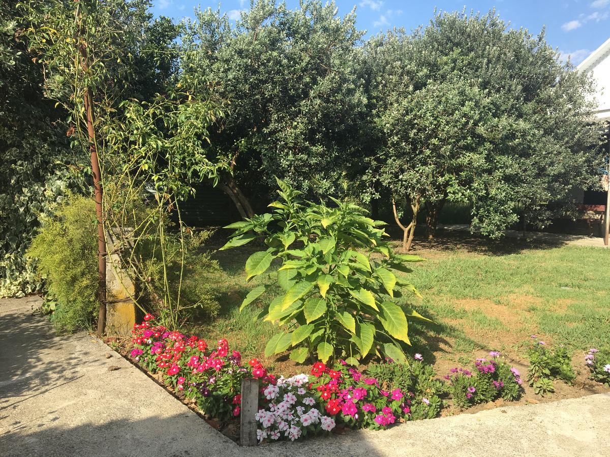 Guesthouse Milena Leselidze 외부 사진